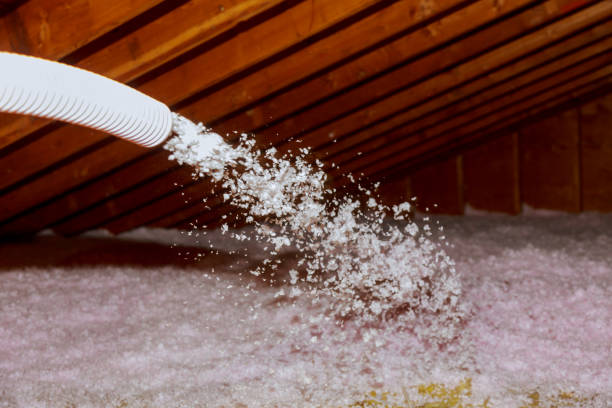 Best Spray Foam Insulation in Arlington, GA