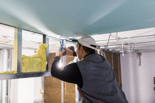 Best Specialized Insulation Services in Arlington, GA