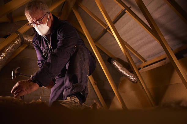 Best Fiberglass Insulation in Arlington, GA