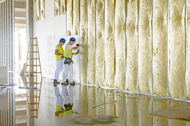 Best Insulation for Specific Applications in Arlington, GA